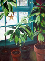 avacados in winter, avocado painting, avocado acrylic, avocado plants, barbara upton