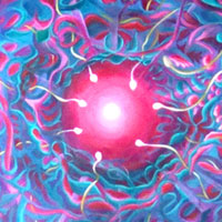 transformational art, barbara upton