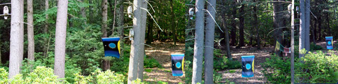 owls guarding flags, owls waking planet flag, 